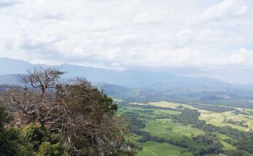 Belihuloya, Sri Lanka: A Hidden Paradise of Nature, Adventure, and Serenity Belihuloya, Sri Lanka: A Hidden Paradise of Nature