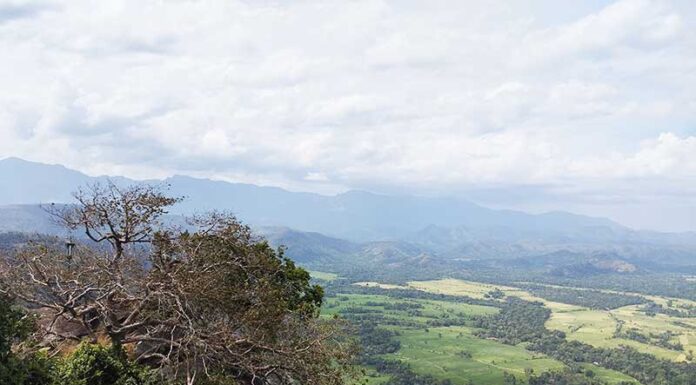 Belihuloya, Sri Lanka: A Hidden Paradise of Nature, Adventure, and Serenity Belihuloya, Sri Lanka: A Hidden Paradise of Nature