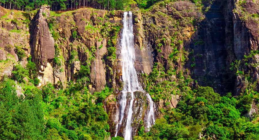 Bambarakanda Falls, Sri Lanka – Complete Travel Guide to the Island’s Tallest Waterfall Bambarakanda Falls Sri Lanka tallest waterfall surrounded by pine forest