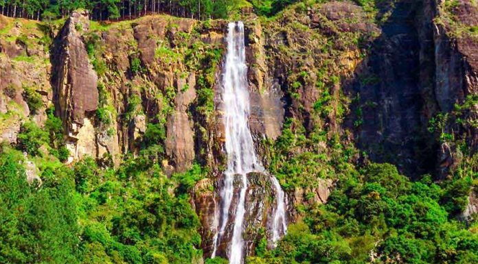 Bambarakanda Falls, Sri Lanka – Complete Travel Guide to the Island’s Tallest Waterfall Bambarakanda Falls