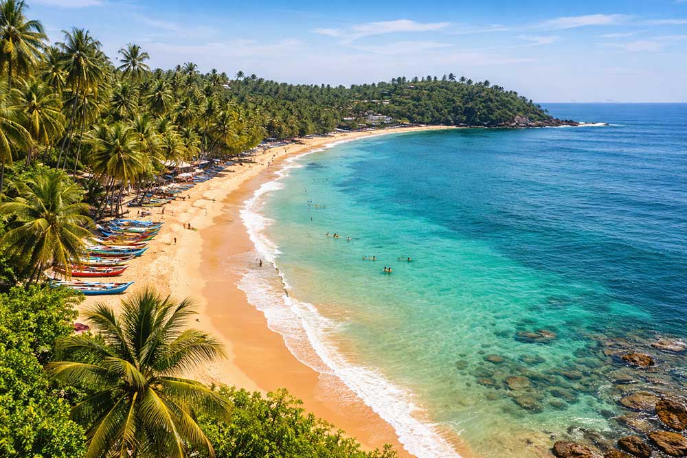 Wide coastal view of Mirissa Beach with palm trees
