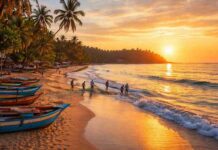 Mirissa Beach: A Local’s Guide to Sri Lanka’s Hidden Coastal Paradise Mirissa Beach Sri Lanka