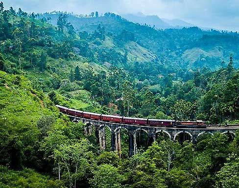 Scenic view of Ella train through tea plantations in Sri Lanka