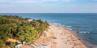 Arugam Bay Travel Guide, Sri Lanka: Surf, Slow Life & Raw Coastal Beauty Aerial view of Arugam Bay shoreline and turquoise waters