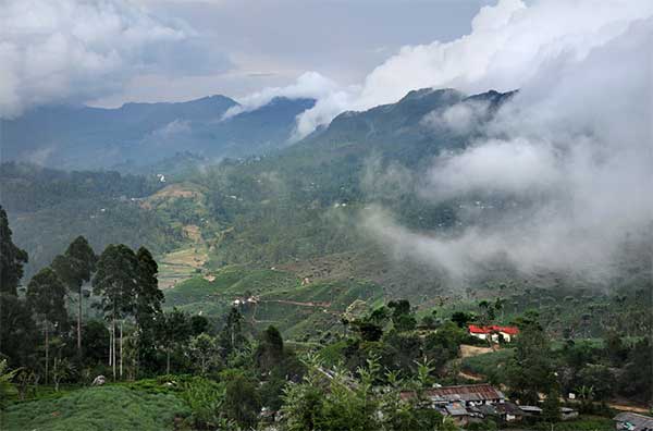 Panoramic mountain view from Haputale overlooking clouds and tea plantations