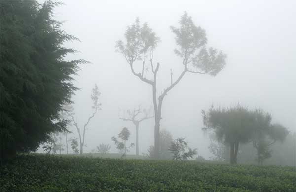 Morning mist covering Haputale hills in Sri Lanka’s central highlands