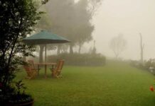 Haputale – Sri Lanka Travel Guide (2026 Edition) “Morning mist covering Haputale hills in Sri Lanka’s central highlands