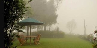 Haputale – Sri Lanka Travel Guide (2026 Edition) “Morning mist covering Haputale hills in Sri Lanka’s central highlands